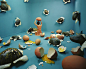 Surreal Stage of Mind Series by Jee Young Lee