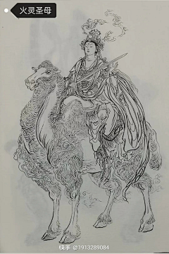 Z_东方米采集到白描