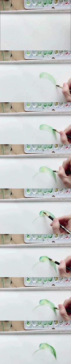 珥冬隅采集到水彩绘画过程