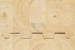 连接木单板层的积材