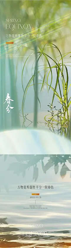 春分节气海报
