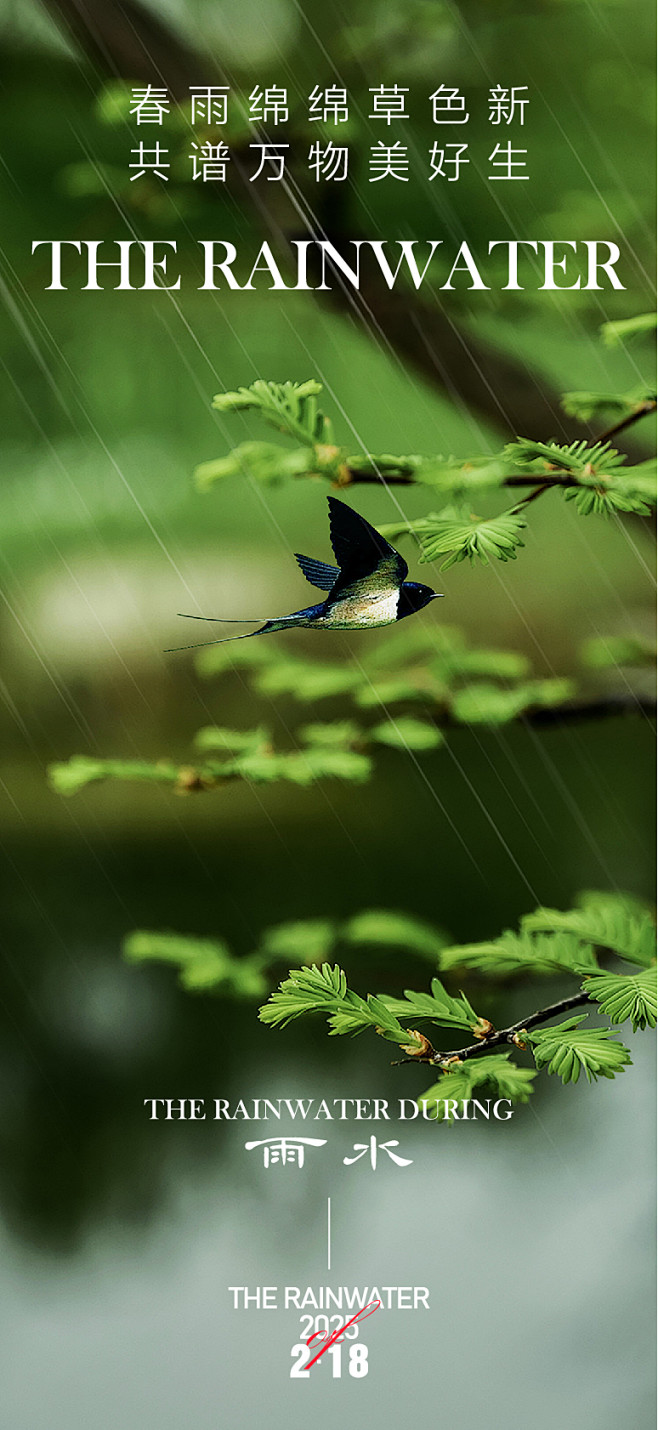 雨水 惊蛰