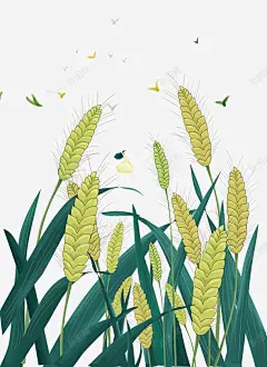 手绘24节气大暑小暑主题海报插画 页面网页 平面电商 创意素材