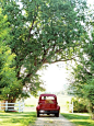 No, let's take the farm truck to the store...: 