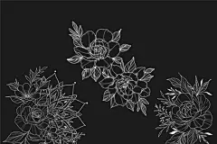 新发布 30 朵勾勒花 我为您的项目创建的 Procreate 邮票。这些非常适合纹身，但它们可用于着色或其他项目，还可以提高您的创造力。此外，这个捆绑包也是一个赚钱的工具。