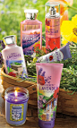 A romantic bouquet of French lavender, nectarine de Provence & sun-kissed honey.: 