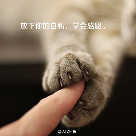 人生要放下的9件事