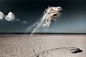 Gravity - Sand Creatures : GRAVITY | SAND CREATURES“Sand comes alive and creatures are born in frozen moments of weightlessness...”The Sand Creatures series focuses on nature in an unexpected way. The explosive and at times powdery scenes of the grainy sa