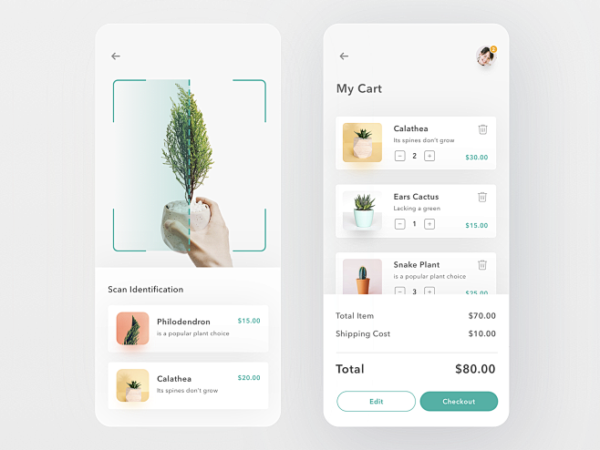 Dribbble Presentatio...