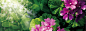 IGNIS Season Letter｜秋におすすめのアイテムをご紹介。 : 9月18日（日）「フラワー スピリット」DEBUT！朝と夜、きれいのサイクルを整える。花のような美容液です。サンプルクーポンも掲載中！