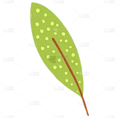 手绘-植物元素贴纸-树叶2