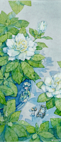 在栀子花丛下撸猫猫，睡觉觉～#罗罗布简笔画#  图一是壁纸～ #画手赋能计划# ​​​​