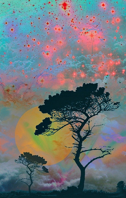 MAGICAL FORREST | MA...
