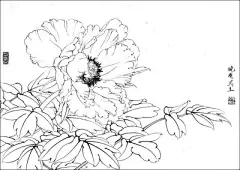 线稿 - 堆糖，美图壁纸兴趣社区