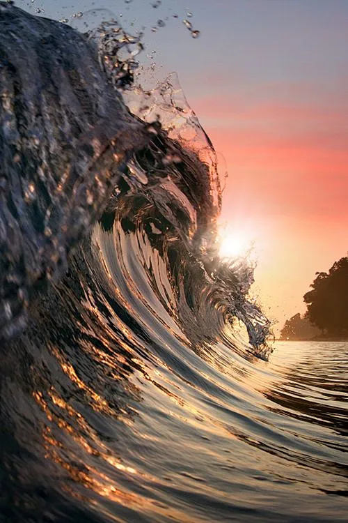 Wave-花瓣网