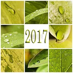 绿色,叶子,雨滴,2017年,抽象拼贴画,水,贺卡,新年,健康,雨