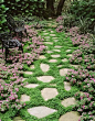 Walkable ground covers