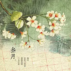 岁月花绘筆迹