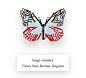 【暖设计】字体“蝴蝶”标本
