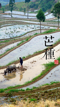 小象……采集到二十四节气美图