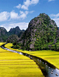 Cuc Phuong National Park, Vietnam: