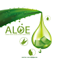 芦荟保湿精华化妆品Ai矢量广告海报Aloe Moisture Essence#020502