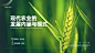 绿色简约风毕业答辩PPT模板套装