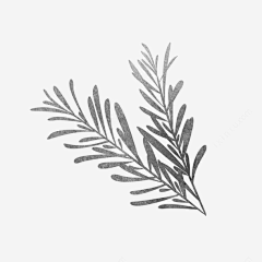 时扉゛采集到草草木木