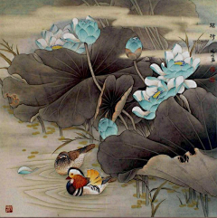 风吹见月明采集到工笔画，荷花