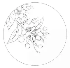 花草 - 高清图片，堆糖，美图壁纸兴趣社区