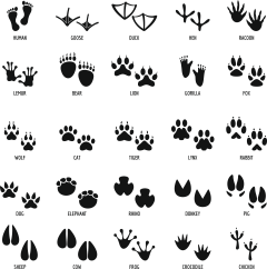 EvaMa_520采集到材质贴图