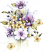手绘鲜花花束