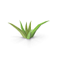 Grasses (Low Poly) Object