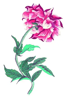 牡丹  - 源文件下载【酷图网】百花争艳,国画百花争艳,国画,花鸟画,花,水墨画,花朵,红花,手绘花朵,手绘花,水墨画花,抽象花,工笔画,月季,牡丹,水墨荷花,