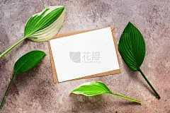 绿色的玉簪叶和空白卡片与工艺信封上的米色纹理背景。简约的文具。公司法人身份模板。邀请模型。前视图。