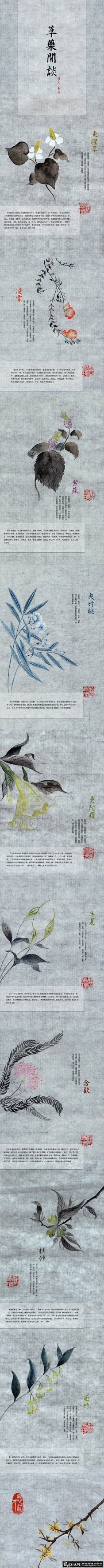 中国风草药海报设计 中草药海报 草本海报...