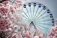 花行行采集到景物【素】