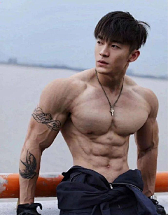 香菜慕斯采集到人体