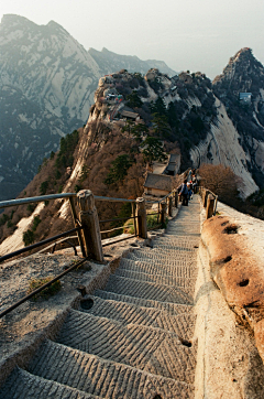 英雄的鸟采集到旅游