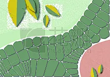 抽象,矢量,背景分离,式样,叶子,石材,明信片,传单,覆盖