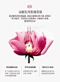 麦吉丽红茶玫瑰面膜补水保湿紧致嫩肤快速修护焕采-tmall.com天猫