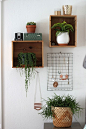 Plants in the bedroom. The crates on the wall helped create a little bit of storage and turned our dirty laundry basket corner into something less mundane. #home #DIY #wall