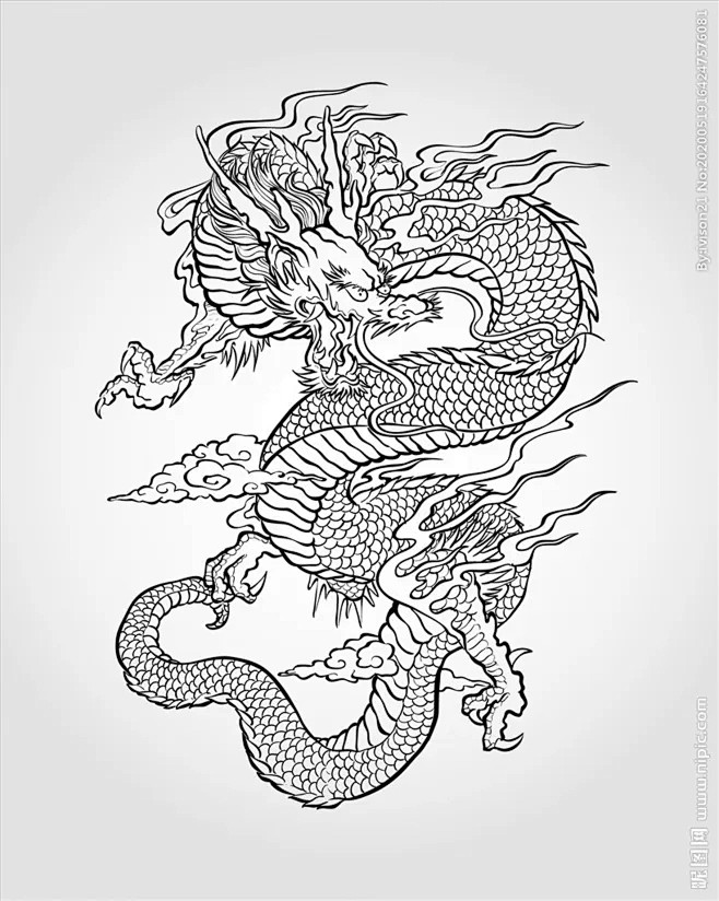 线条练习龙