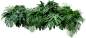 3255635885