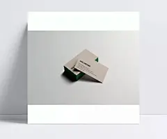 卡其色牛皮纸商务名片样机展示|