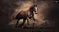 20281-horse-1920x1080-animal-wallpaper