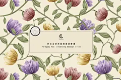 《投以木瓜》视觉设计工作室。
微信号：iMOMOi1118。
约设计请联系上面微信。
#设计，排版设计，广告海报，海报宣传,品牌设计，品牌形象设计，微商品牌设计，微商团队合作