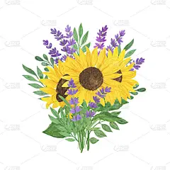 向日葵花束，薰衣草，树叶水彩画，花卉组成，夏日植物布置象征法国普罗旺斯的贺卡，波西娅装饰，婚礼邀请，