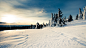 nature winter snow Sun trees forest scenic - Wallpaper (#787567) / Wallbase.cc