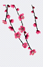 粉色梅花花枝|花朵,花骨朵,花苞,粉色腊梅,梅花,花卉,树枝,花枝,黄色腊梅,植物,装饰元素